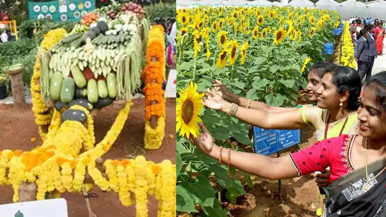 ಬೆಂಗಳೂರು ಕೃಷಿ ವಿಶ್ವವಿದ್ಯಾಲಯದಿಂದ ಕೃಷಿ ಮೇಳ - 2023