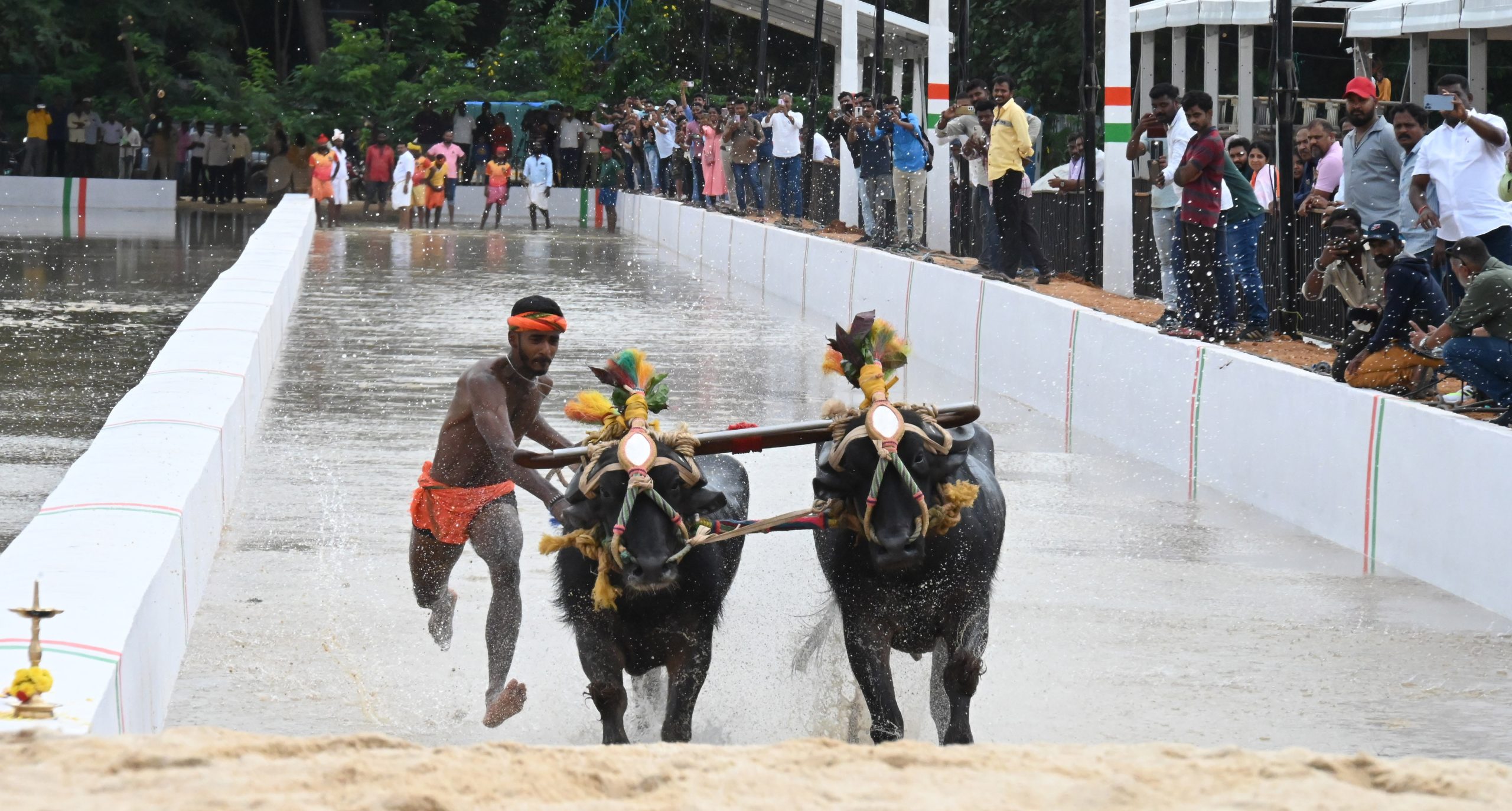 ನಾಳೆಯಿಂದ ಅರಮನೆ ಮೈದಾನದಲ್ಲಿ ಕಂಬಳ