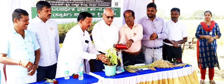 ರೈತರು ನೂತನ ಕೃಷಿ ಆವಿಷ್ಕಾಾರಗಳನ್ನು ಅಳವಡಿಸಿಕೊಳ್ಳಬೇಕು - ಡಾ.ಎ.ಅಮರೇಗೌಡ