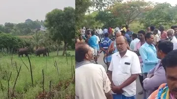 ಆನೆ ದಾಳಿಗೆ ಇಬ್ಬರು ಬಲಿ