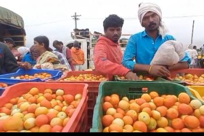 ಟೊಮೆಟೊ ದರ ಕೇಳಿದರೆ ಹೌಹಾರುವಂತಿದೆ