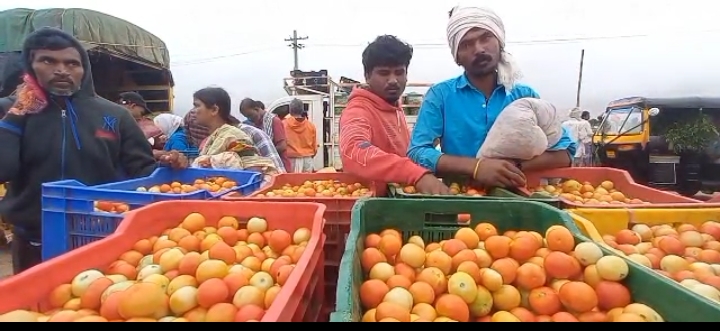 ಟೊಮೆಟೊ ದರ ಕೇಳಿದರೆ ಹೌಹಾರುವಂತಿದೆ