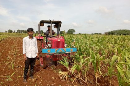 ಬಾರದ ಮಳೆ ಮೆಕ್ಕೆಜೋಳ ನಾಶ ಮಾಡುತ್ತಿರುವ ರೈತ