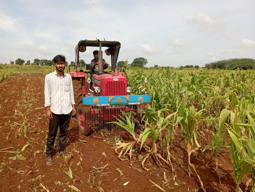 ಬಾರದ ಮಳೆ ಮೆಕ್ಕೆಜೋಳ ನಾಶ ಮಾಡುತ್ತಿರುವ ರೈತ