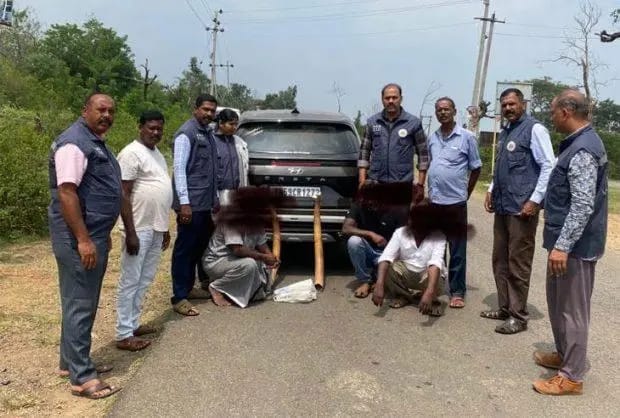 ಕೊಳ್ಳೇಗಾಲದಲ್ಲಿ ಆನೆ ದಂತಗಳ ಸಮೇತ ಮೂವರ ಬಂಧನ