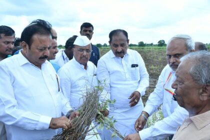 ಬೆಳೆ ಹಾನಿ ಪರಿಶೀಲನೆ ನಡೆಸಿದ ಕೃಷಿ ಸಚಿವ