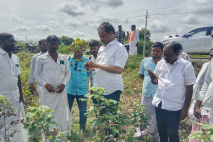ಬಸನಗೌಡ ಬಾದರ್ಲಿಯಿಂದ ಬೆಳೆಹಾನಿ ವೀಕ್ಷಣೆ