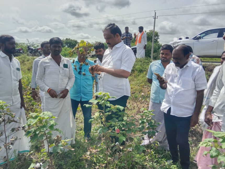 ಬಸನಗೌಡ ಬಾದರ್ಲಿಯಿಂದ ಬೆಳೆಹಾನಿ ವೀಕ್ಷಣೆ