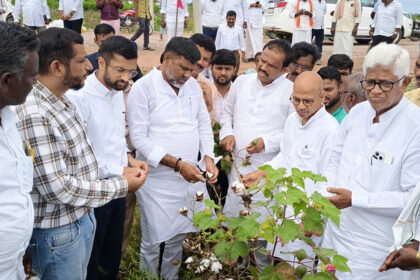 ಜಿಲ್ಲಾಾ ಉಸ್ತುವಾರಿ ಸಚಿವರಿಂದ ಬೆಳೆ ಹಾನಿ ವೀಕ್ಷಣೆ ಬೆಳೆಹಾನಿ ವರದಿ ಬಂದ ತಕ್ಷಣ ಪರಿಹಾರ : ಶರಣಪ್ರಕಾಶ ಪಾಟೀಲ್