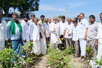 ಮಾಜಿ ಸಚಿವರಿಂದ ಬೆಳೆಹಾನಿ ವೀಕ್ಷಣೆ ಎಕರೆಗೆ 25ಸಾವಿರ ಪರಿಹಾರ ಕೊಡಿ: ನಾಡಗೌಡ ಒತ್ತಾಾಯ