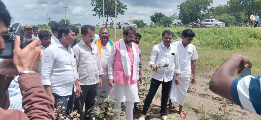 ಮಳೆಯಿಂದ ಬೆಳೆ ಹಾನಿ ಪರಿಶೀಲಿಸಿದ ನಾರಾಯಣಸ್ವಾಾಮಿ