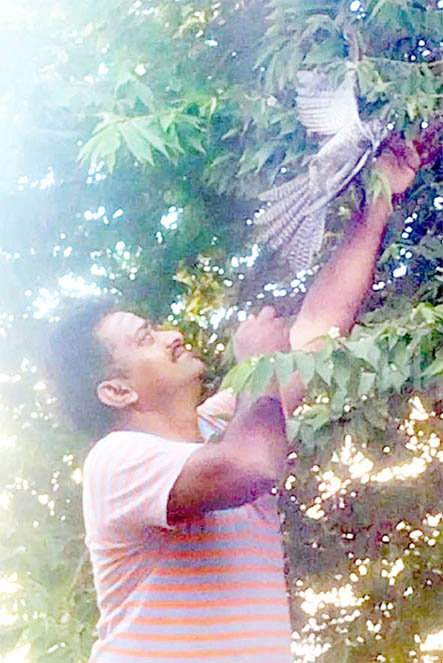 ಮರದಲ್ಲಿ ಸಿಕ್ಕಿ ಹಾಕಿಕೊಂಡಿದ್ದ ಪಕ್ಷಿಯ ರಕ್ಷಿಸಿದ ಶ್ರೀಧರ ಮಸ್ಕಿ