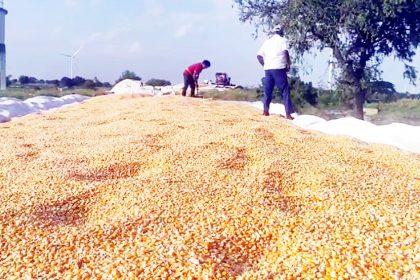 6 ಲಕ್ಷ ಕ್ವಿಿಂಟಾಲ್ ಮೆಕ್ಕೆಜೋಳ ಮಾರಾಟ