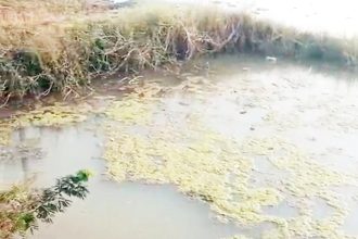 ಬಂಗಾಳಿಯವರ ದೊಡ್ಡಿಯಲ್ಲಿ ಕುಡಿಯುವ ನೀರು ಕಲುಷಿತ ; ಜನರಲ್ಲಿ ಅನಾರೋಗ್ಯ