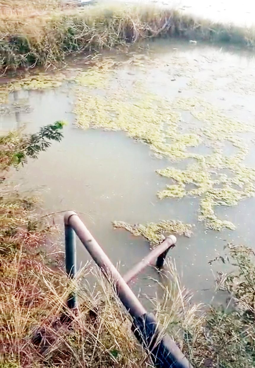 ಬಂಗಾಳಿಯವರ ದೊಡ್ಡಿಯಲ್ಲಿ ಕುಡಿಯುವ ನೀರು ಕಲುಷಿತ ; ಜನರಲ್ಲಿ ಅನಾರೋಗ್ಯ