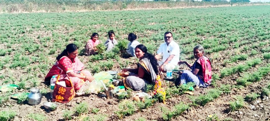 ಸುಗ್ಗಿಯ ಹಬ್ಬ ಎಳ್ಳ ಅಮವಾಸ್ಯೆ ಜಮೀನಿನಲ್ಲಿ ಚರಗ ಚೆಲ್ಲಿ ರೈತರ ಸಂಭ್ರಮ
