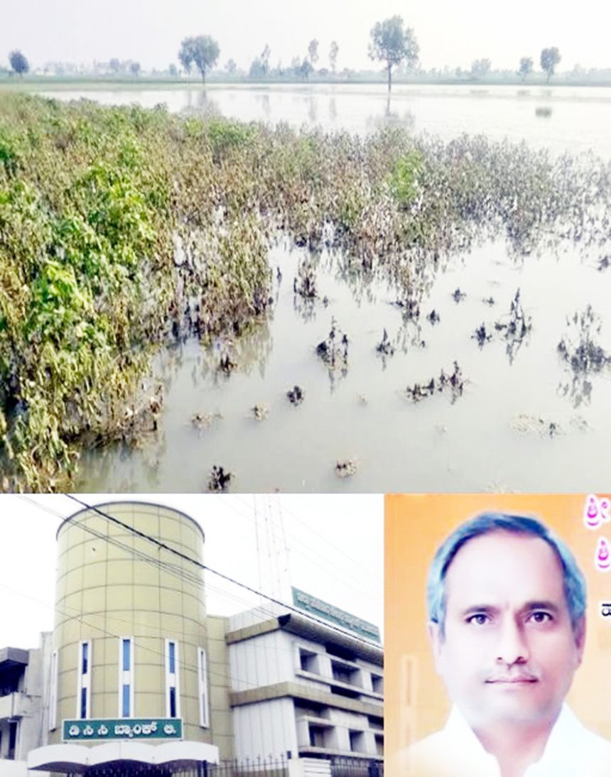 ಸರ್ಕಾರದಿಂದ 137 ಕೋಟಿ ರೂ. ಬಿಡುಗಡೆ ಡಿಸಿಸಿ ಬ್ಯಾಾಂಕ್‌ನಿಂದ ಖಾತೆಗಳಿಗೆ ಬೀಗ : ರೈತರ ಕೈ ಸೇರದ ಬೆಳೆ ಪರಿಹಾರ