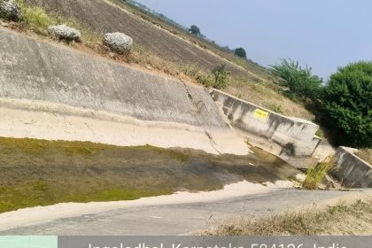 ಬುದ್ದಿನ್ನಿಿ ನ್ಯಾಾಯಬೆಲೆ ಅಂಗಡಿ ಬಲು ದೂರ; ಪಡಿತರ ಹೊತ್ತು ತರಲು ಭಾರ   ಅಂಗವಿಕಲರು, ವೃದ್ಧರ ಗೋಳು ಕೇಳುವರು ಯಾರು? ಅಧಿಕಾರಿಗಳೆ, ಜನಪ್ರತಿನಿಧಿಗಳೆ ಇತ್ತ ನೋಡಿ !