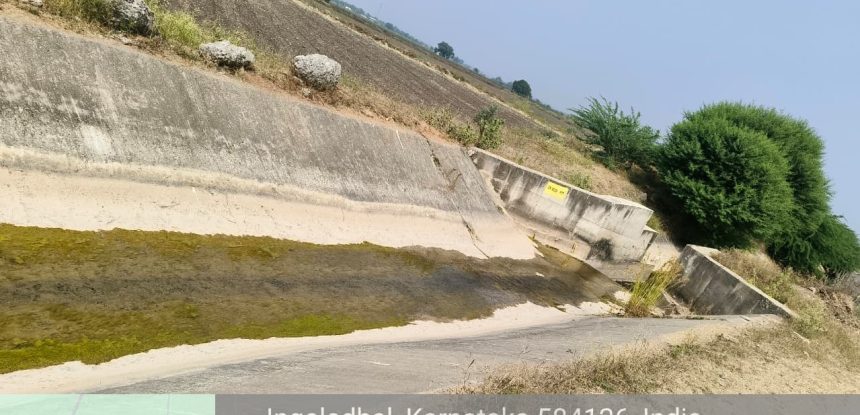 ಬುದ್ದಿನ್ನಿಿ ನ್ಯಾಾಯಬೆಲೆ ಅಂಗಡಿ ಬಲು ದೂರ; ಪಡಿತರ ಹೊತ್ತು ತರಲು ಭಾರ   ಅಂಗವಿಕಲರು, ವೃದ್ಧರ ಗೋಳು ಕೇಳುವರು ಯಾರು? ಅಧಿಕಾರಿಗಳೆ, ಜನಪ್ರತಿನಿಧಿಗಳೆ ಇತ್ತ ನೋಡಿ !