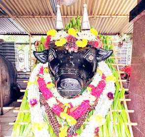 ಜಾಗಟಗಲ್ : ಇಂದಿನಿಂದ ಬೆಟ್ಟದ ಬಸವೇಶ್ವರ ಜಾತ್ರೆ