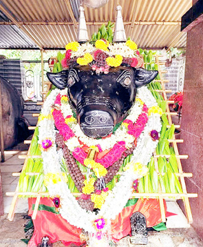 ಜಾಗಟಗಲ್ : ಇಂದಿನಿಂದ ಬೆಟ್ಟದ ಬಸವೇಶ್ವರ ಜಾತ್ರೆ