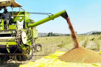 ಕವಿತಾಳ : ತೊಗರಿ ಕೇಂದ್ರ ಆರಂಭಕ್ಕೆ ಆಗ್ರಹ
