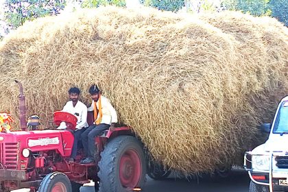 ಹುಲ್ಲಿನ ವಾಹನಗಳ ಓಡಾಟ, ಸಾರ್ವಜನಿಕರ ಗೋಳಾಟ..!