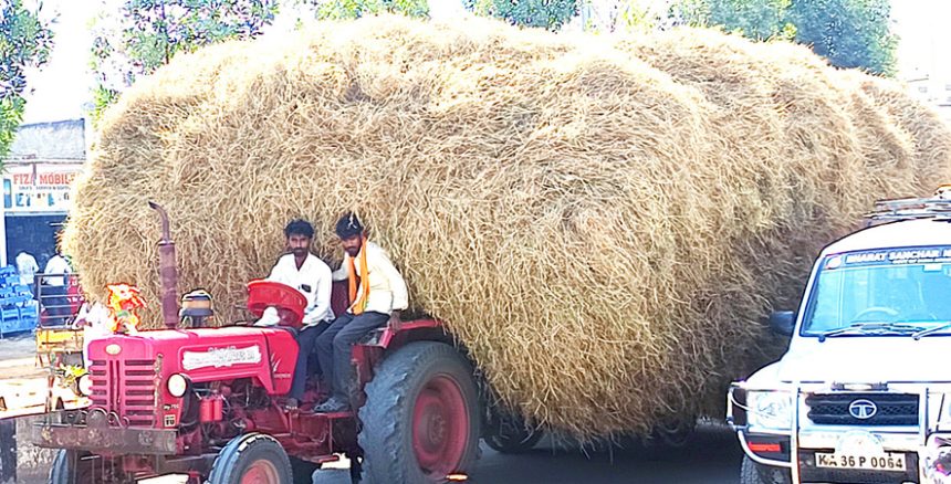 ಹುಲ್ಲಿನ ವಾಹನಗಳ ಓಡಾಟ, ಸಾರ್ವಜನಿಕರ ಗೋಳಾಟ..!