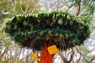 ಗಮನ ಸೆಳೆಯುತ್ತಿಿರುವ ಗವಿಮಠದ ಜಾತ್ರೆೆಯಲ್ಲಿ ಲಪುಷ್ಪ ಪ್ರದರ್ಶನ