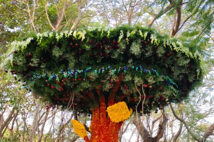 ಗಮನ ಸೆಳೆಯುತ್ತಿಿರುವ ಗವಿಮಠದ ಜಾತ್ರೆೆಯಲ್ಲಿ ಲಪುಷ್ಪ ಪ್ರದರ್ಶನ