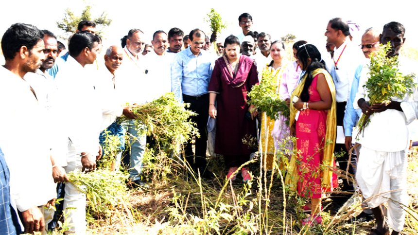 ರೈತರು ಅಳಲು ಆಲಿಸಿದ ತಂಡ : ಕೇಂದ್ರ ನೆರೆ ಹಾನಿ ತಂಡದಿಂದ ಬೆಳೆ ಹಾನಿ ವೀಕ್ಷಣೆ