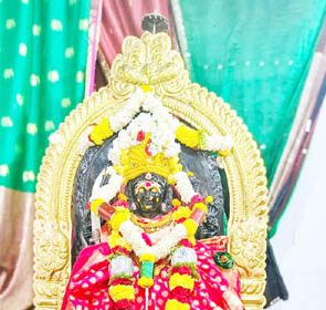 12ನೇ ವರ್ಷದ ಶ್ರೀ ಕಾಳಿಕಾದೇವಿ ವಾರ್ಷಿಕೋತ್ಸವ ಸಂಭ್ರಮ