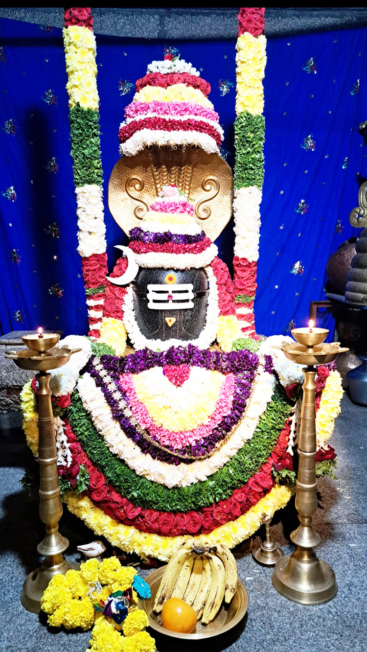 ಅಪಾರ ಜನಸ್ತೋಮ ಮಧ್ಯೆ ಹಿರೇಜಂತಕಲ್ ಪ್ರಸನ್ನ ಶ್ರೀ ಪಂಪಾ ವಿರೂಪಾಕ್ಷೇಶ್ವರ ಮಹಾ ರಥೋತ್ಸವ