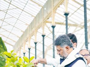 ಬಸವಣ್ಣರ ಹೆಸರಿನಲ್ಲಿ ಬೃಹತ್ ಉದ್ಯಾನ: ಡಿಸಿಎಂ ಡಿಕೆಶಿ