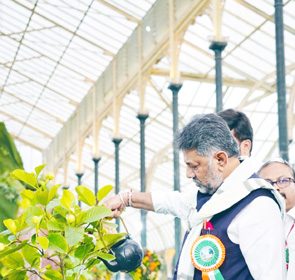 ಬಸವಣ್ಣರ ಹೆಸರಿನಲ್ಲಿ ಬೃಹತ್ ಉದ್ಯಾನ: ಡಿಸಿಎಂ ಡಿಕೆಶಿ