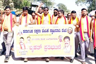 ತಜ್ಞ ವೈದ್ಯರ ನೇಮಕಕ್ಕೆ ಆಗ್ರಹಿಸಿ ಕರವೇಯಿಂದ ಅರೆಬೆತ್ತಲೆ ಮೆರೆವಣಿಗೆ