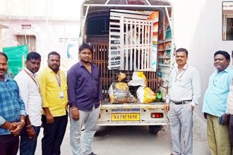 ಕೋತಿ ಸೆರೆ : ನಿಟ್ಟುಸಿರು ಬಿಟ್ಟ ಜನತೆ