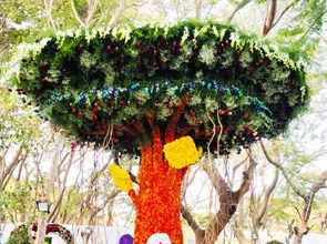 ಗಮನ ಸೆಳೆಯುತ್ತಿರುವ ಗವಿಮಠದ ಜಾತ್ರೆಯಲ್ಲಿ ಲಪುಷ್ಪ ಪ್ರದರ್ಶನ