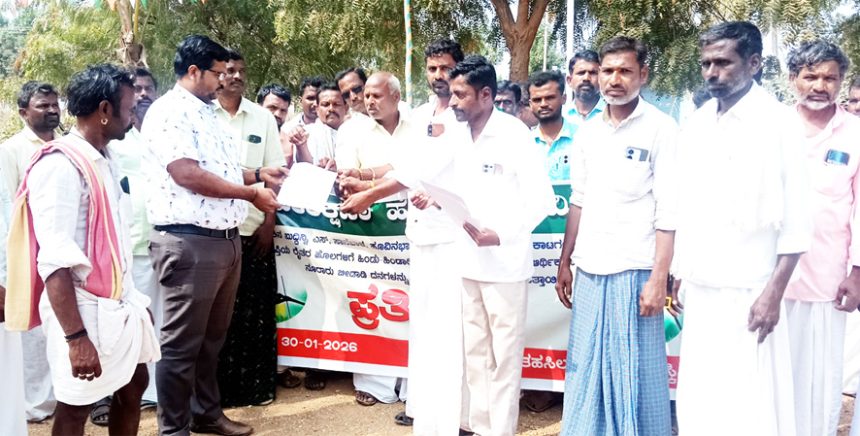 ಬಿಡಾಡಿ ದನಗಳ ಹಾವಳಿ : ಶಾಶ್ವತ ಪರಿಹಾರಕ್ಕೆ ಒತ್ತಾಯ