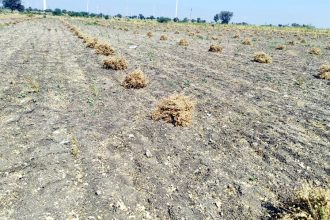 ಆರಂಭವಾಗದ ಕಡಲೆ ಖರೀದಿ ಕೇಂದ್ರ, ಬೆಂಬಲ ಬೆಲೆ ಹೆಚ್ಚಿಸಲು ರೈತರ ಆಗ್ರಹ